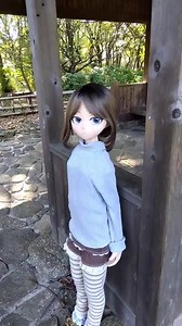 Come back anon, isn't this what you wanted? Video by @shiina_chang ^^ Link: https://x.com/shiina_chang/status/1852888356147068966 #bjd #plasticwaifu #random | PlasticWaifu