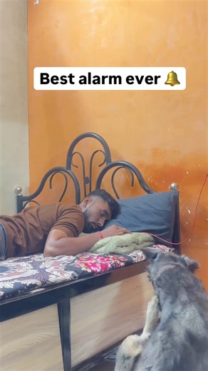Best alarm ever 😂🔔 #comedy #funny #alam