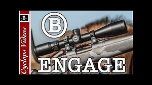 Bushnell Rifle Scope Review Engage
