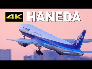 [4K] ピンク色の空に飛び立っていくロマンティックな離陸シーンをのんびりと眺める動画 / Sunset plane spotting at Tokyo Haneda Airport / 羽田空港