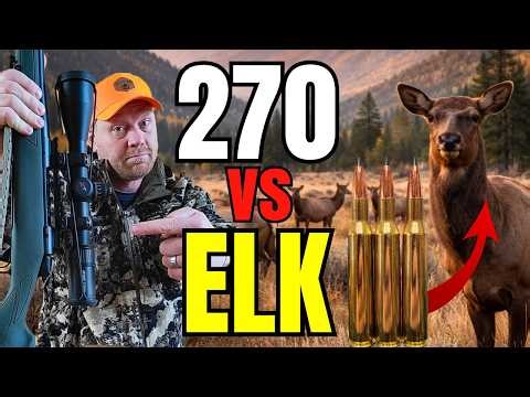 .270 “Not Enough” for Elk? Watch This Before You Decide [270 vs Elk Hunt Footage]