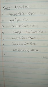 Define the following terms:AmmonificationNitrificationDenit... | Filo