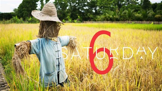 Saturday Selections – April 4, 2026