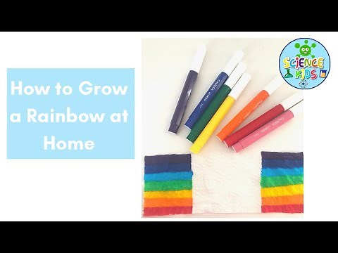 Grow a Rainbow Experiment | Easy STEM activity | Capillary Action