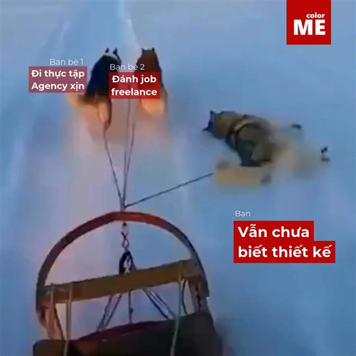 Cứ từ từ, còn mùng là còn tết mà | Color ME