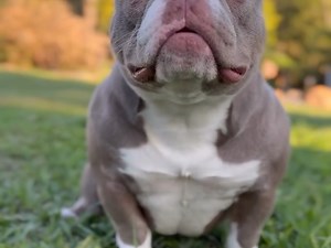 【bluewhiggg】更新啦，赶紧来围观吧！