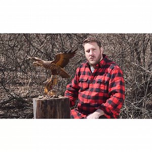 31K views · 17 reactions | For those of you not currently taking...