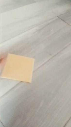 the dancing cheese pt 1 🧀 #cheese #poserboy #cat #memes #funny #thedancingcheese #pt1