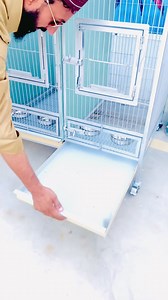 www.tiktok.com/@mmcagemakermianwali | MM Cage Box And Birds Center Mianwali