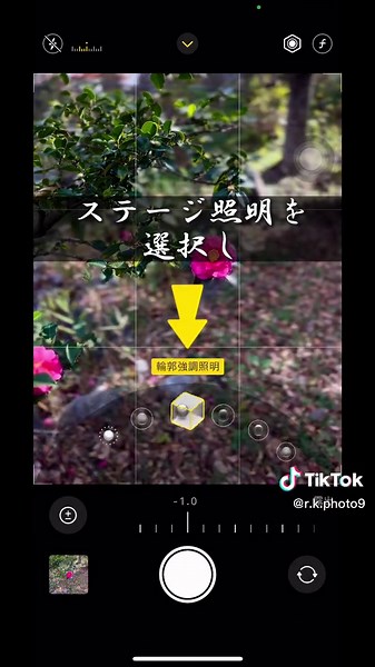 背景が映えない時にオススメな花の撮り方