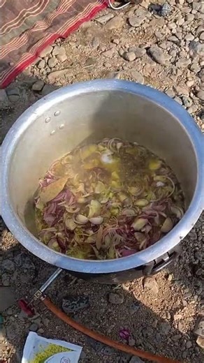 piknik #foodlover #song #muttoncurry