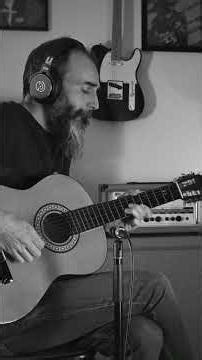 Fortunate Son | #acousticmusic #acousticcover