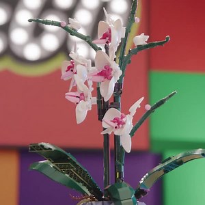 31K views · 1.5K reactions | The only thing you need to shower this orchid with is love, affection, and holiday cheer!  (just another reason why it’s the perfect gift ) | LEGO | Facebook