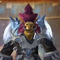 Gara'jal the Spiritbinder Detailed Strategy Guide (Heroic Mode included)