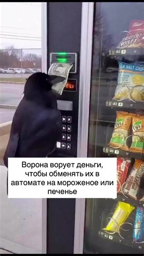 вот это прикол. как думаете в реальности возможно???