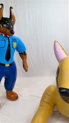 Candy Coated Squeaks on Instagram: "Optional wearable PVC clothes for the new Doberman suit."