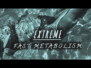 ⚠️ EXTREME ⚠️ Fast metabolism • Burn calories in every Listen ❗check description.