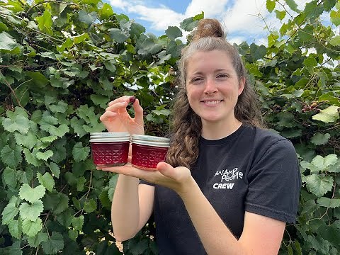 How to Make Muscadine Jelly with Anna The Archer