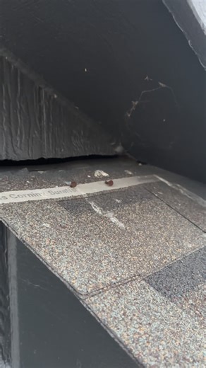 @rhinoshieldroofing | The painters removed the counter flashing… and exposed a MAJOR problem. There was no step flashing installed underneath. That means this... | Instagram