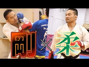 武術的に見た対MMA戦略！ 剛柔の使い分けとは？【野田遼介】