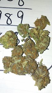 Purple Cotton Candy | Marijuana Strain Reviews