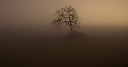 Science with Stevie: Fog Facts