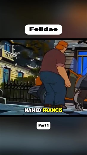 #felidae #cat #cartoon #theory | Felidae