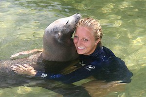 Swim with the Sea Lion - Theater of the Sea