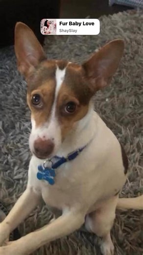 Michelle McNeil on Reels