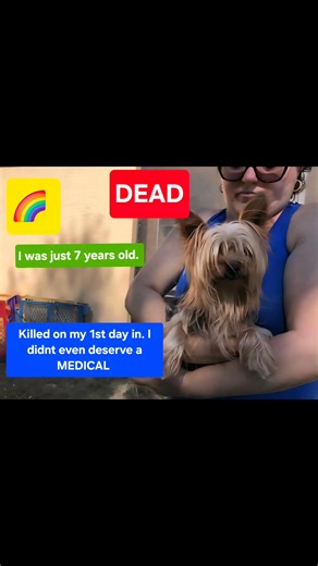 13K views · 308 reactions |  MURDERED 9/30/25 The same day I entered...