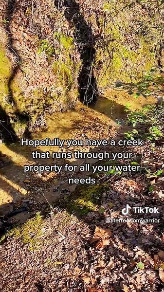 How to live off grid in case of apocalypse #survival #offgridliving #bushcraft #survivaltips #apocalypse #survivalskills #outdoors #survive #fyp