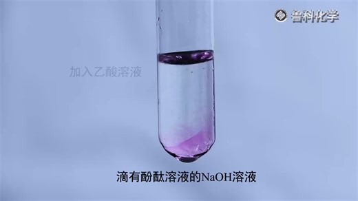 鲁科版 必修二 乙酸的化学性质