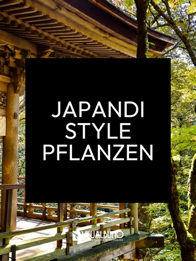 Japandi mood only 🌿 Less chaos, more calm 🤍 Speichern 📌 folgen➕ Liken🩷 für mehr Inspiration. #interiordesign #TikTokTrends #fyp #design #foryoupage❤️❤️