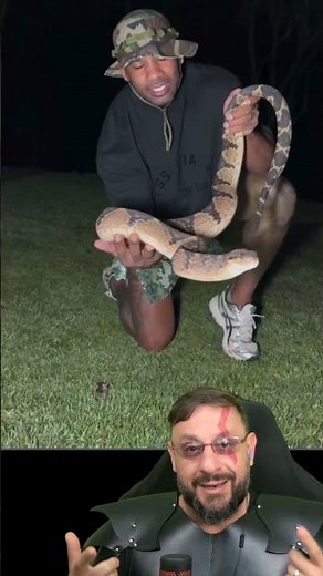 Surucucu-pico-de-jaca Lachesis @therealtarzann EPISÓDIO 15 #biologohenrique