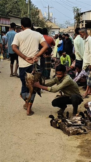 😱🦆Duck gone in seconds