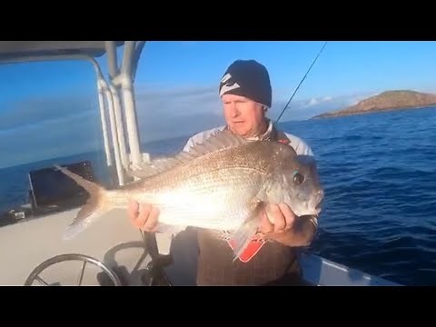 Snapper fishing Newcastle Port Stephens