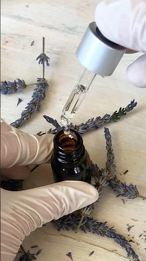 👌 How to make a High-Quality lavender essential oil at home