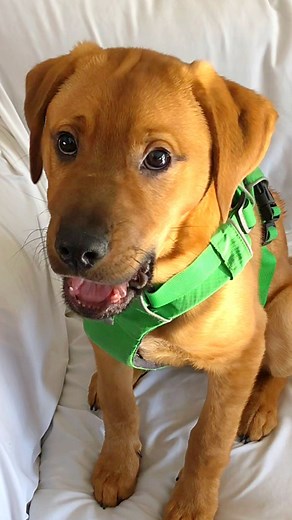 32K views · 611 reactions | The way they’re holding hands  What’s...