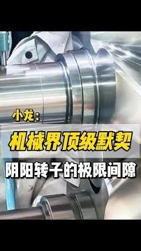 The Ultimate Synergy in Engineering! The Extreme Clearances of Twin-Screw Rotors #LearnSomethingN...