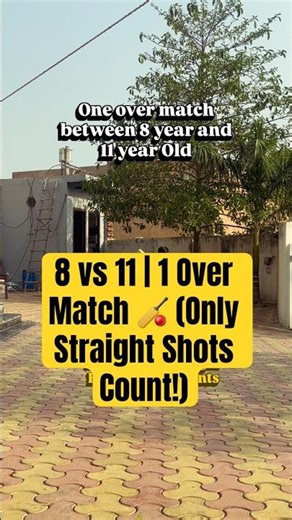 8 vs 11 | 1 Over Match 🏏 (Only Straight Shots Count!)