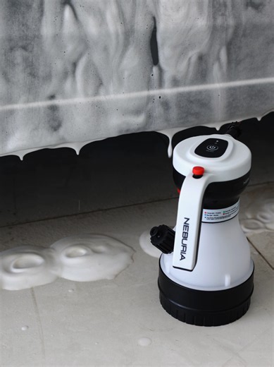 Best Value Electric Foam Sprayer for Car Wash & Detailing