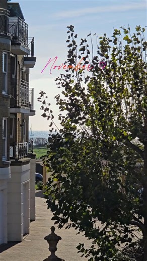 165 reactions · 13 shares | Here’s why Littlehampton Seafront is the place to be this November! ✨️ | Littlehampton & Beyond | Facebook