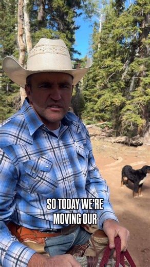 It’s a fun time of year. We’ve moving cattle for lower ground and when October comes we will really start prepping for our Female Sale. This year the sale will be Friday, Dec 5th! We’re excited to see you there #yardleycattleco #seedstock #simmental #simangus #angus | Yardley Cattle Company