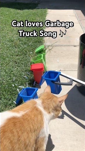 Cat Loves the Garbage Truck Song #trash #gogarbage #garbagetruck