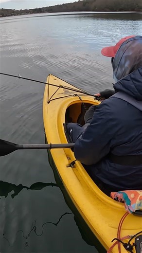 Bonus Brown Trout on the Paddle Back! Kayak Fishing Magic on Cape Cod!! 🎣