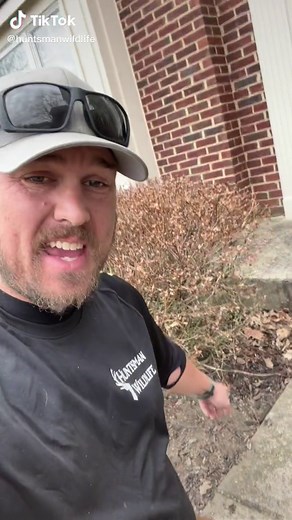 Chipmunk Trapping Tutorial for Wildlife Control at Home