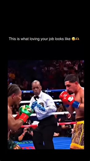 Cage Fighter on Instagram: "Steve Willis is a national treasure 😂 Steve Willis is one of boxing’s most recognizable referees, known for his animated facial expressions and expressive body language in the ring. Based in New York, he has officiated numerous high-profile world title fights across major networks and promotions. Despite his viral reactions, Willis is widely respected for maintaining control, prioritizing fighter safety, and enforcing the rules consistently. His personality has made 