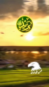 Yazeed R .H — Social Tags and Collaborators