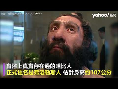 印尼新發現更矮小人類 「哈比人祖先」 身高約100公分 可能60萬年體型從未改變｜Yahoo Hong Kong