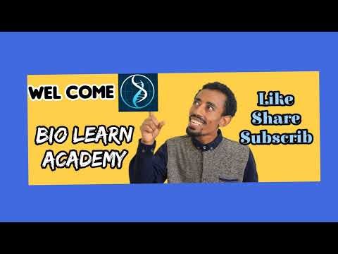 How Enzymes Work? | Live Biology Class